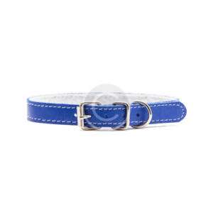Blue Dog Collar