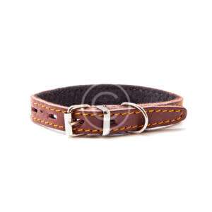 Brown Dog Collar